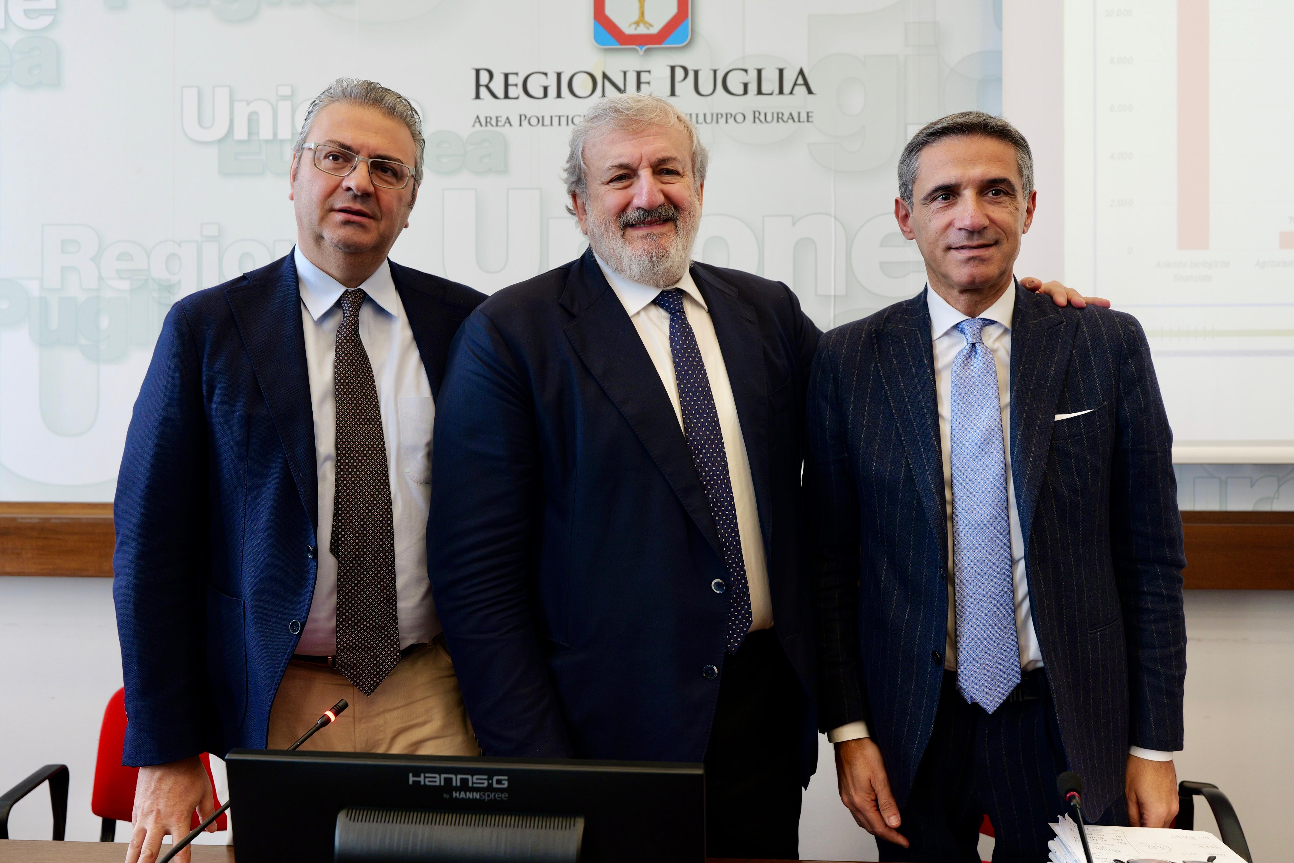 Galleria PSR Puglia 2014-2022: l’agricoltura pugliese raggiunge e supera l’obiettivo di spesa per il 2024 - Diapositiva 4 di 7